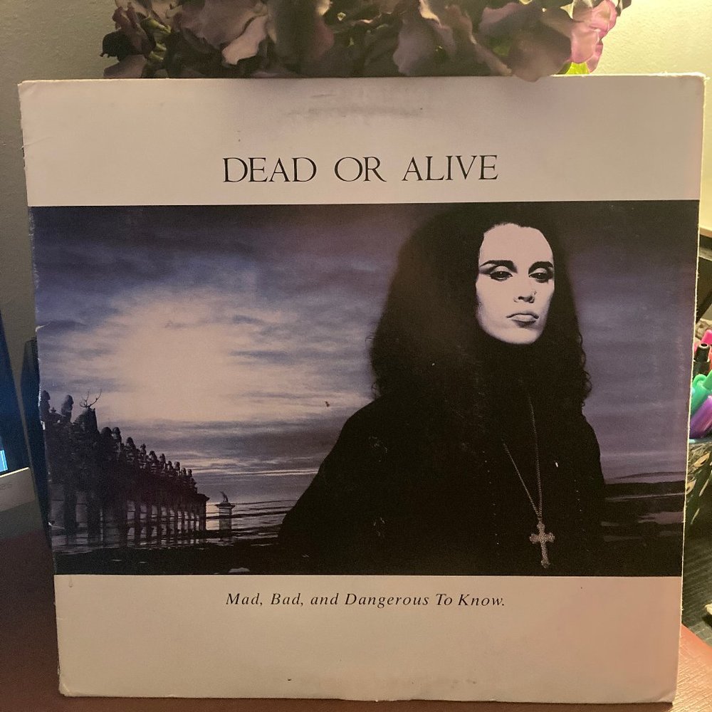 Dead Or Alive "Mad, Bad & Dangerous To Know" Vinyl
